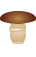 ό`