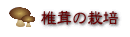 椎茸の栽培